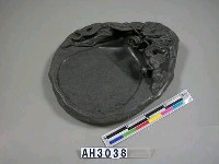 藏品(螺溪石龍硯)的圖片